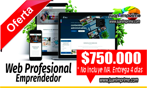 Juanimprime; diseño paginas web responsive para emprendedores en cali